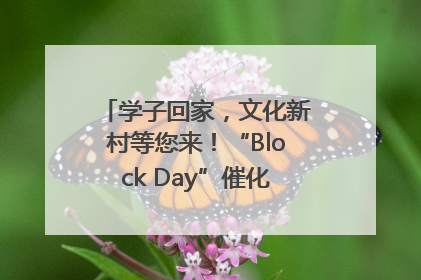 学子回家，文化新村等您来！“Block Day”催化学院式街区新生态